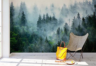 Fototapeta Morning mist 